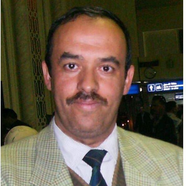 Tarek Amrawi.jpg